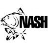 NASH